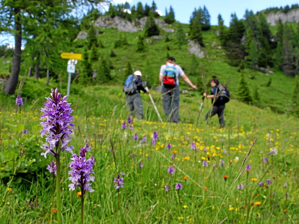 Gasthof Pontiller Обердраубург Екстериор снимка